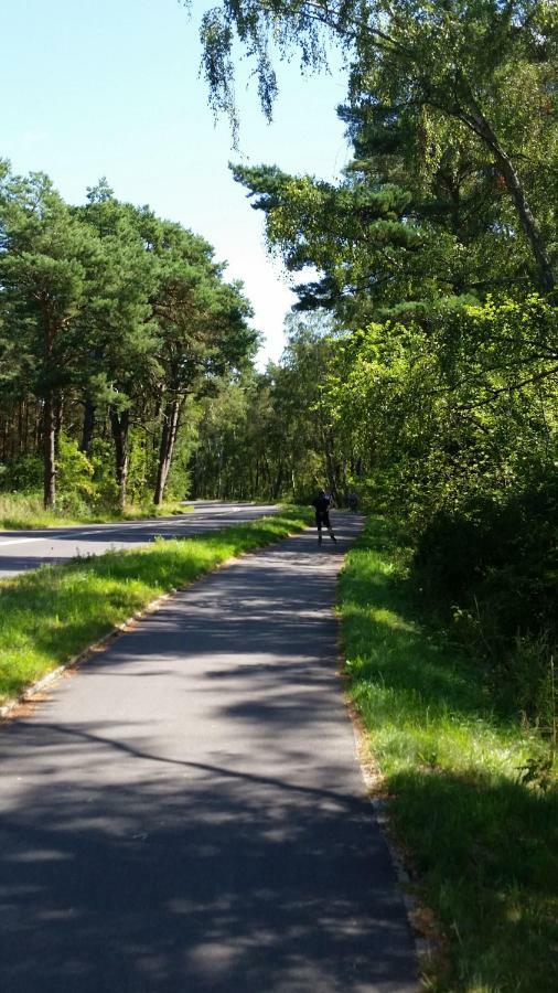 Rezydencja Rogowo Dune Bagian luar foto